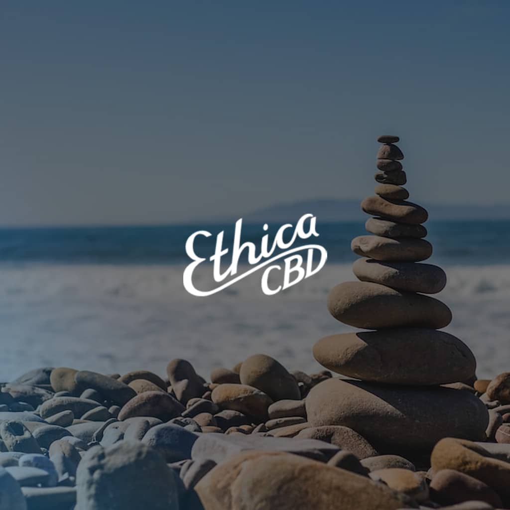 One Mission: Improve Lives